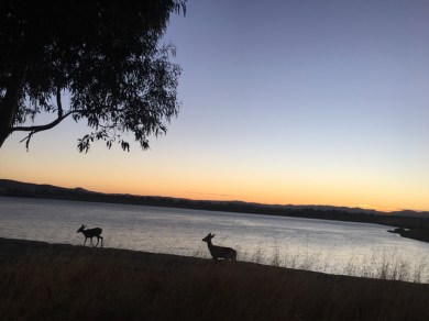 EAB30DD4-CFBA-456A-9D68-40F86E653260