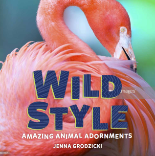 Wild Style cover