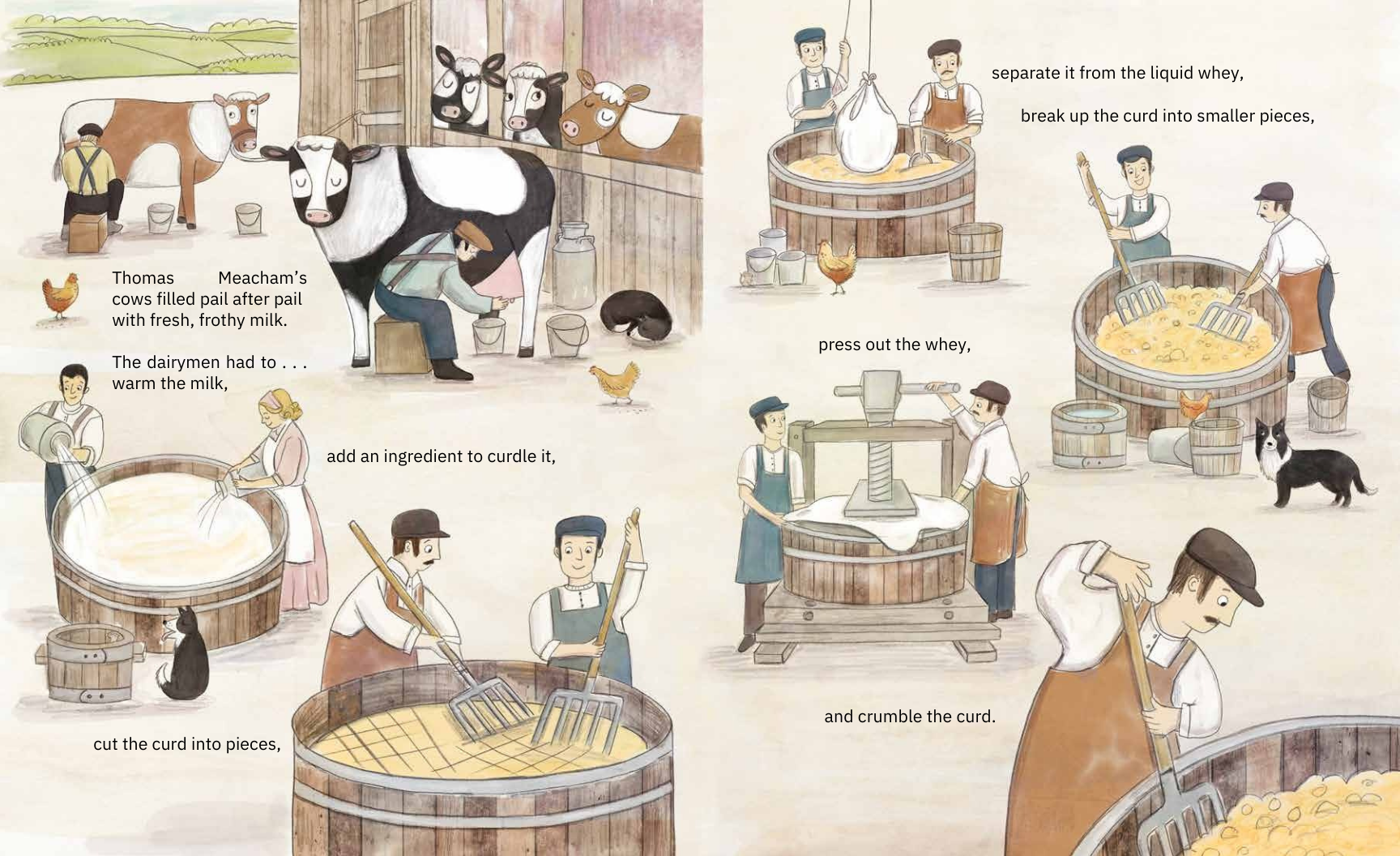 Cheesemaking illustration.pdf