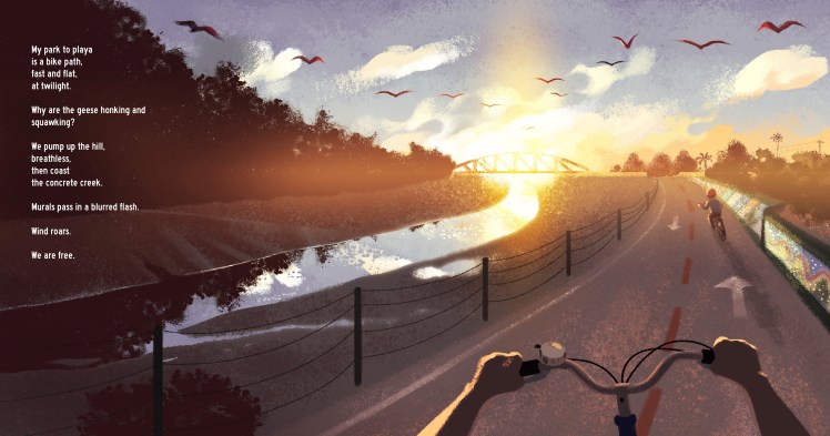 FROM PARK TO PLAYA_bikes