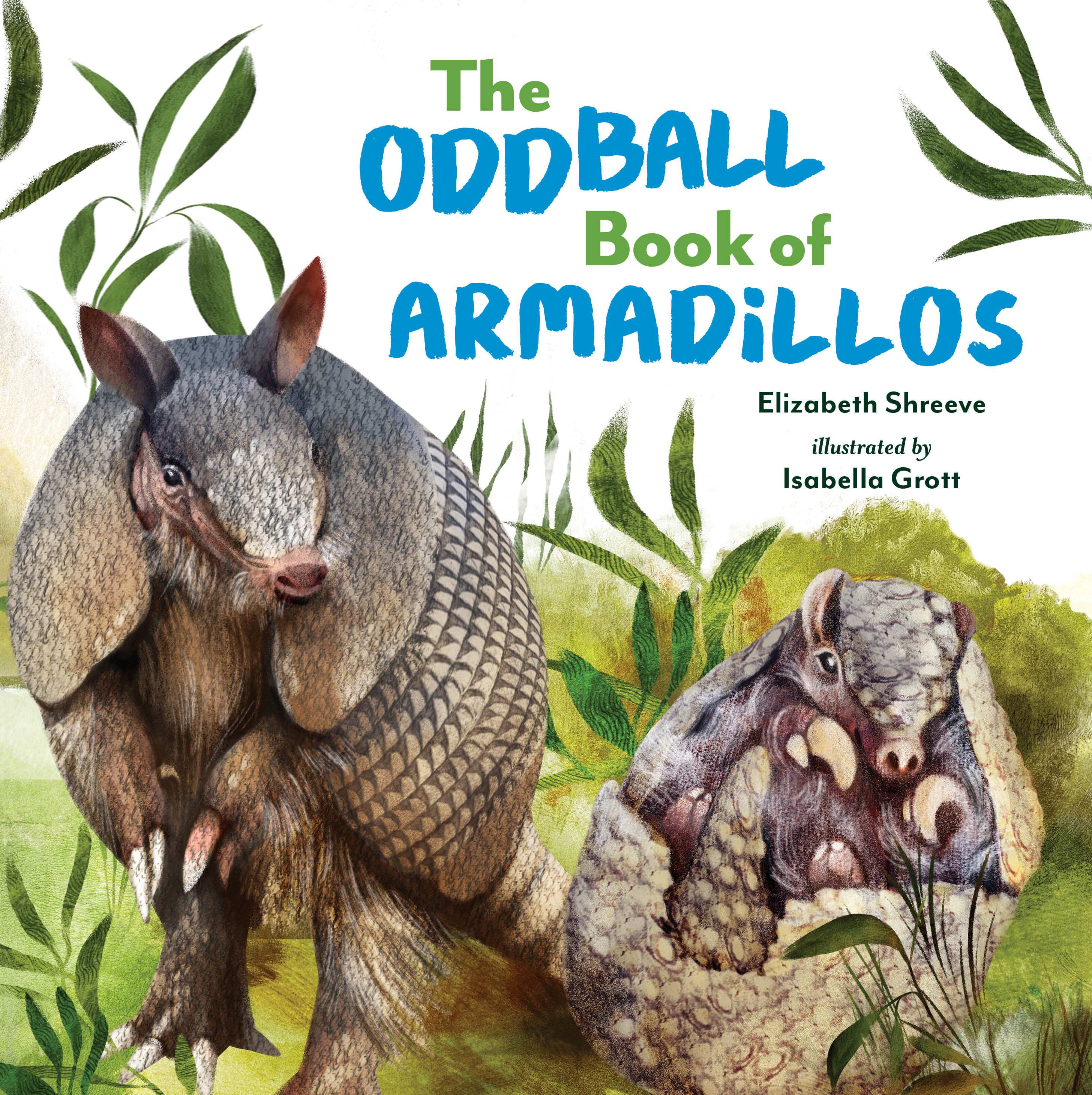 Oddball Book of Armadillos-MedSizeCover