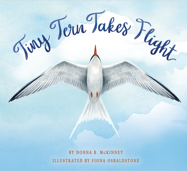 Tiny Tern cover shot
