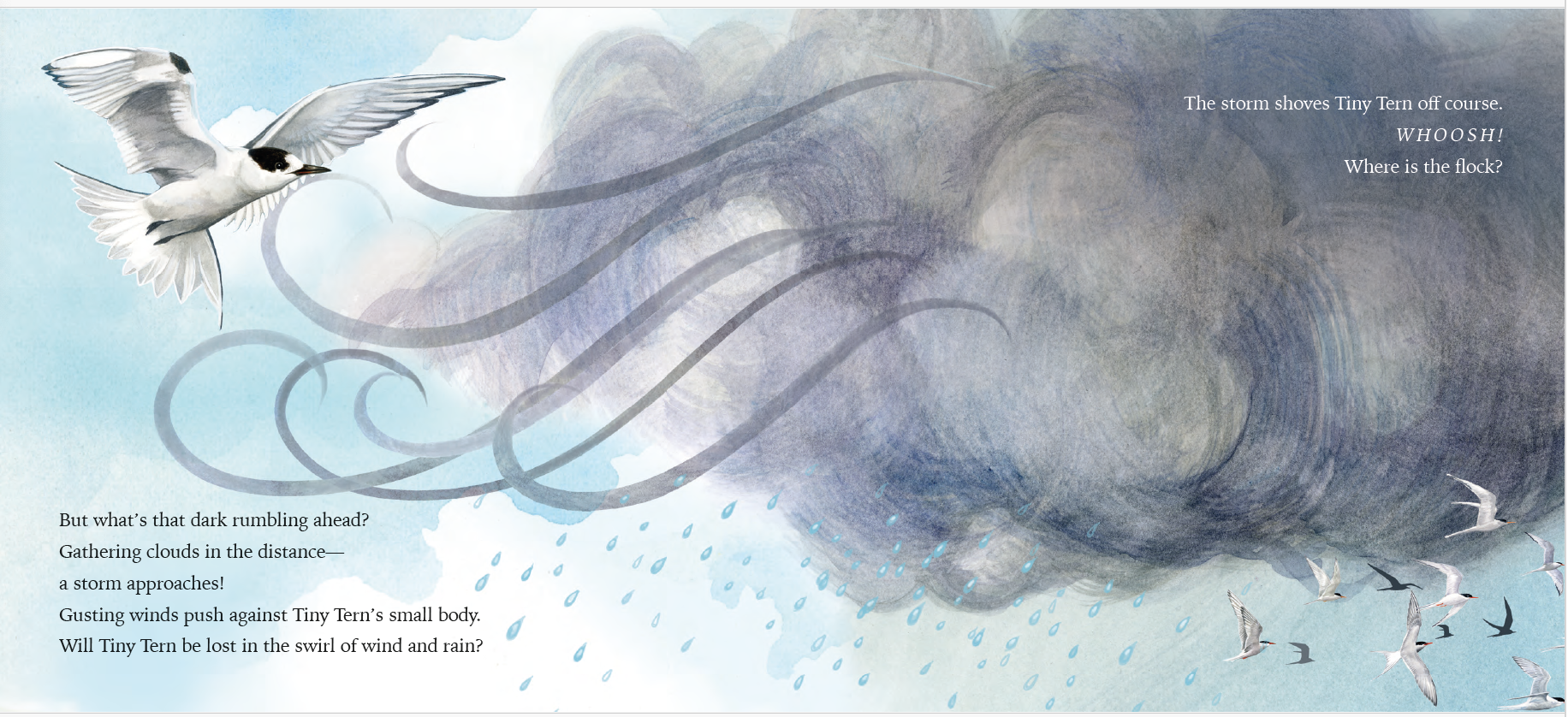 Tiny Tern - storm spread 1