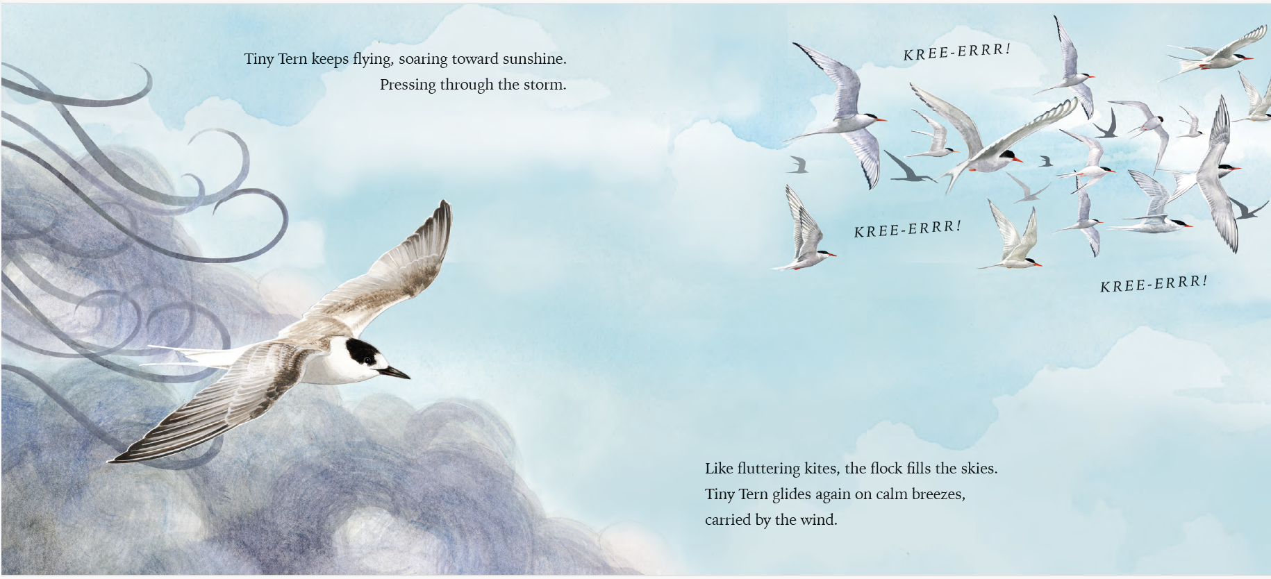 Tiny Tern - storm spread 2